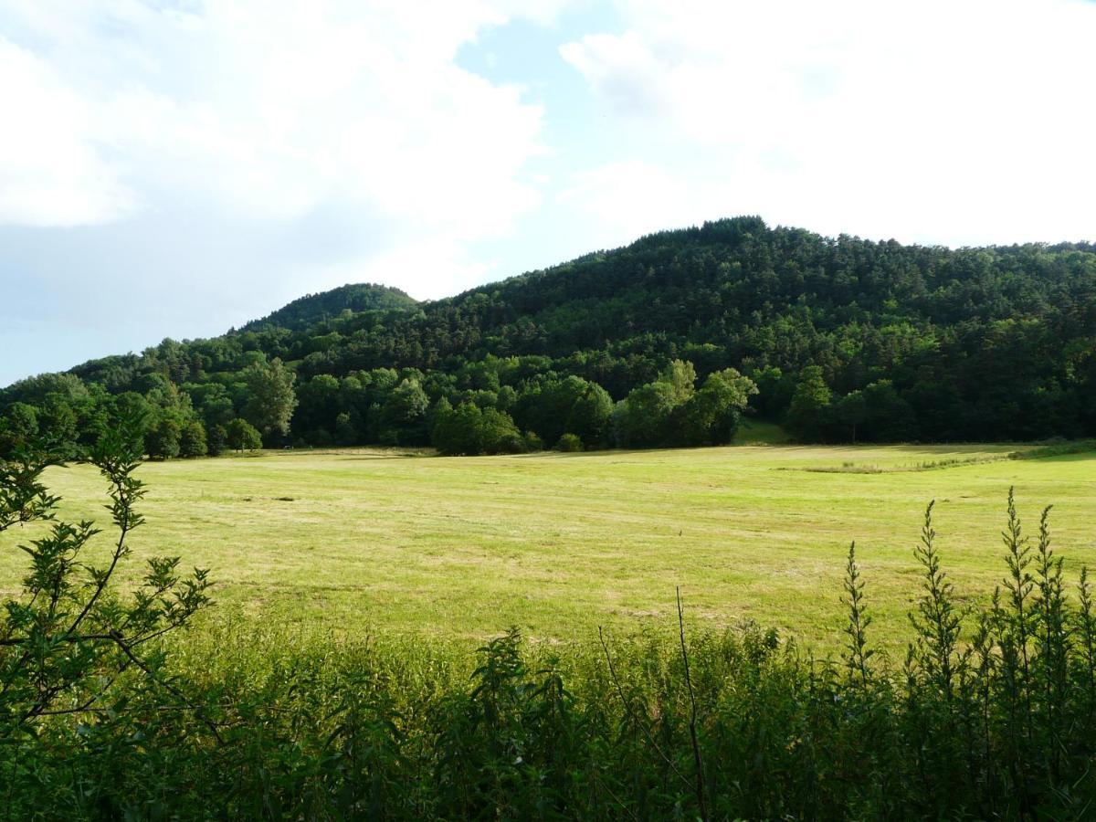 Bed & Breakfast D Hotes Chateau D Arcis Les Granges (Haute-Loire)